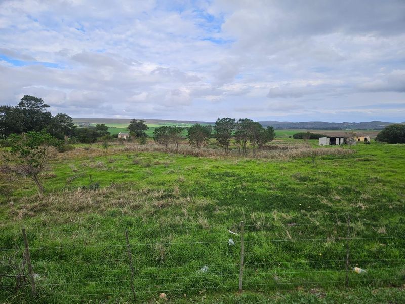 Expansive 10.97 Hectare Lifestyle Farm with Scenic Views - Photo 3