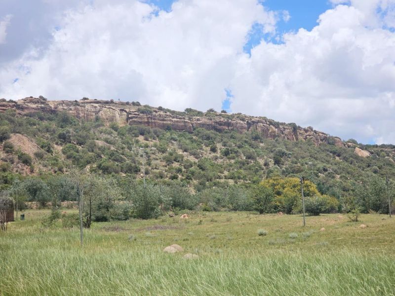 **Prime Vacant Land Opportunity – Exceptional Value** - Photo 5