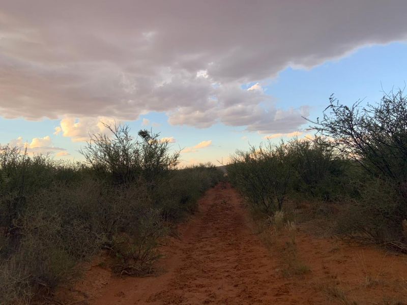 Farm close to Aroab - Photo 7