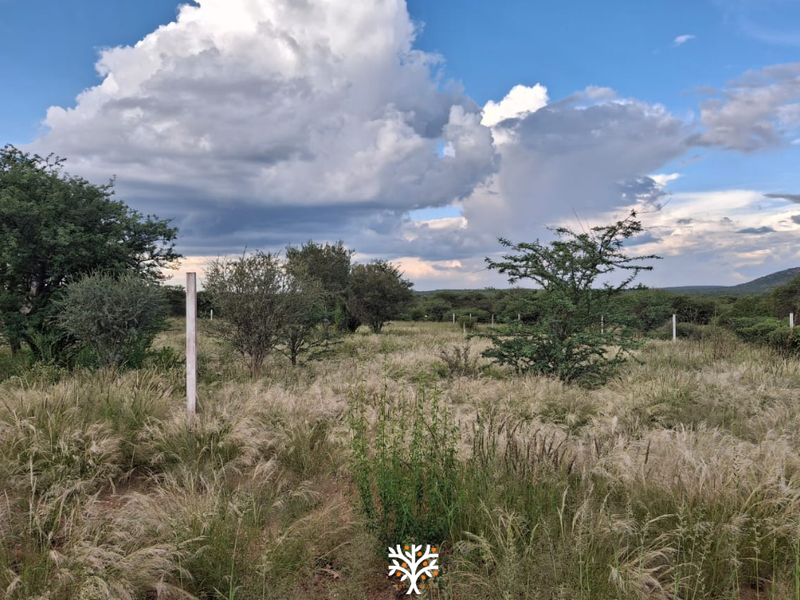 Camelthorn Estate | Vacant Erf with Approved Building Plans - Photo 5