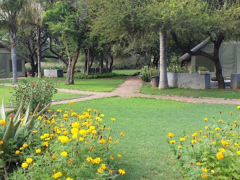 STUNNING 340-HECTARE GAME AND CATTLE FARM FOR SALE – JUST 8 KM FROM NABOOMSPRUIT - Photo 4