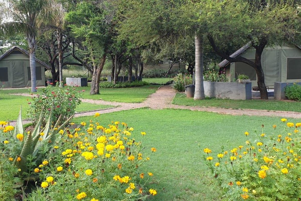 STUNNING 340-HECTARE GAME AND CATTLE FARM FOR SALE – JUST 8 KM FROM NABOOMSPRUIT - Photo 4