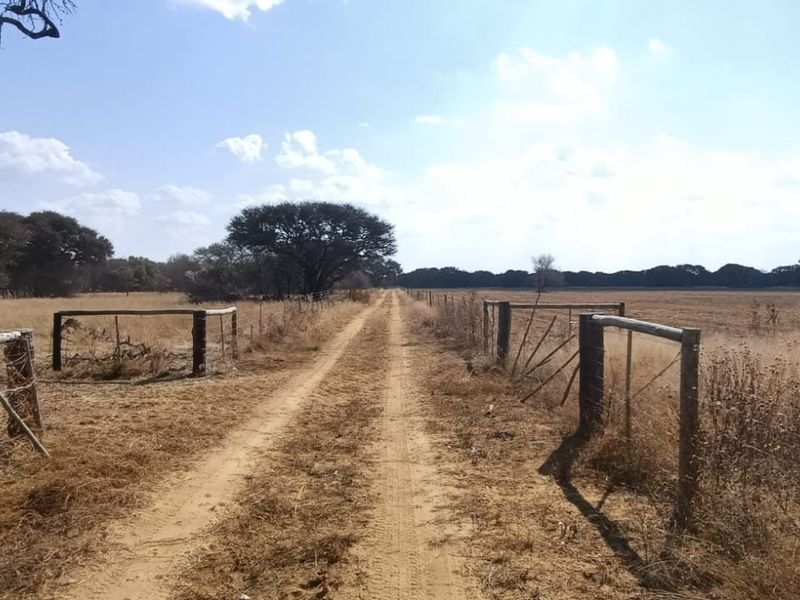 DEVELOPED SMALL GAME/SHEEP AND CATTLE FARM. CHALETS/REASTAURANT - Photo 4