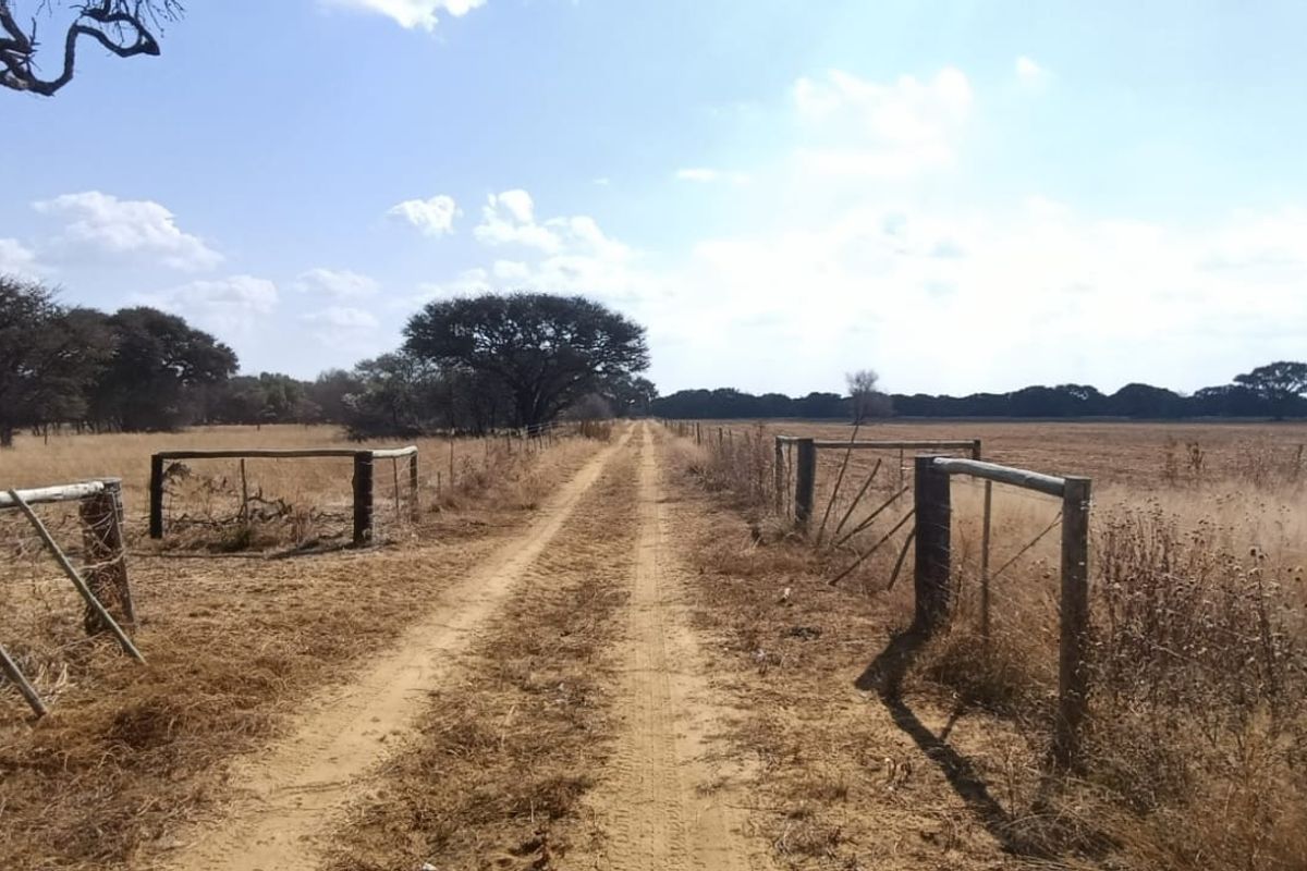 DEVELOPED SMALL GAME/SHEEP AND CATTLE FARM. CHALETS/REASTAURANT - Photo 4