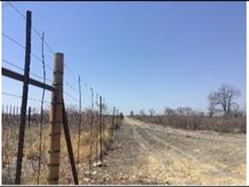 A view of a dirt farm road bordered by a barbed wire perimeter fence on a clear day.