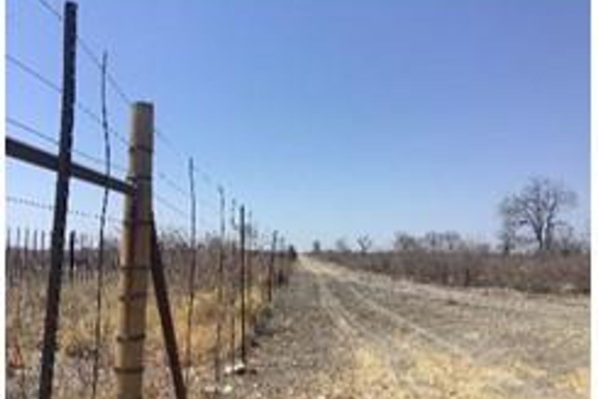 A view of a dirt farm road bordered by a barbed wire perimeter fence on a clear day.
