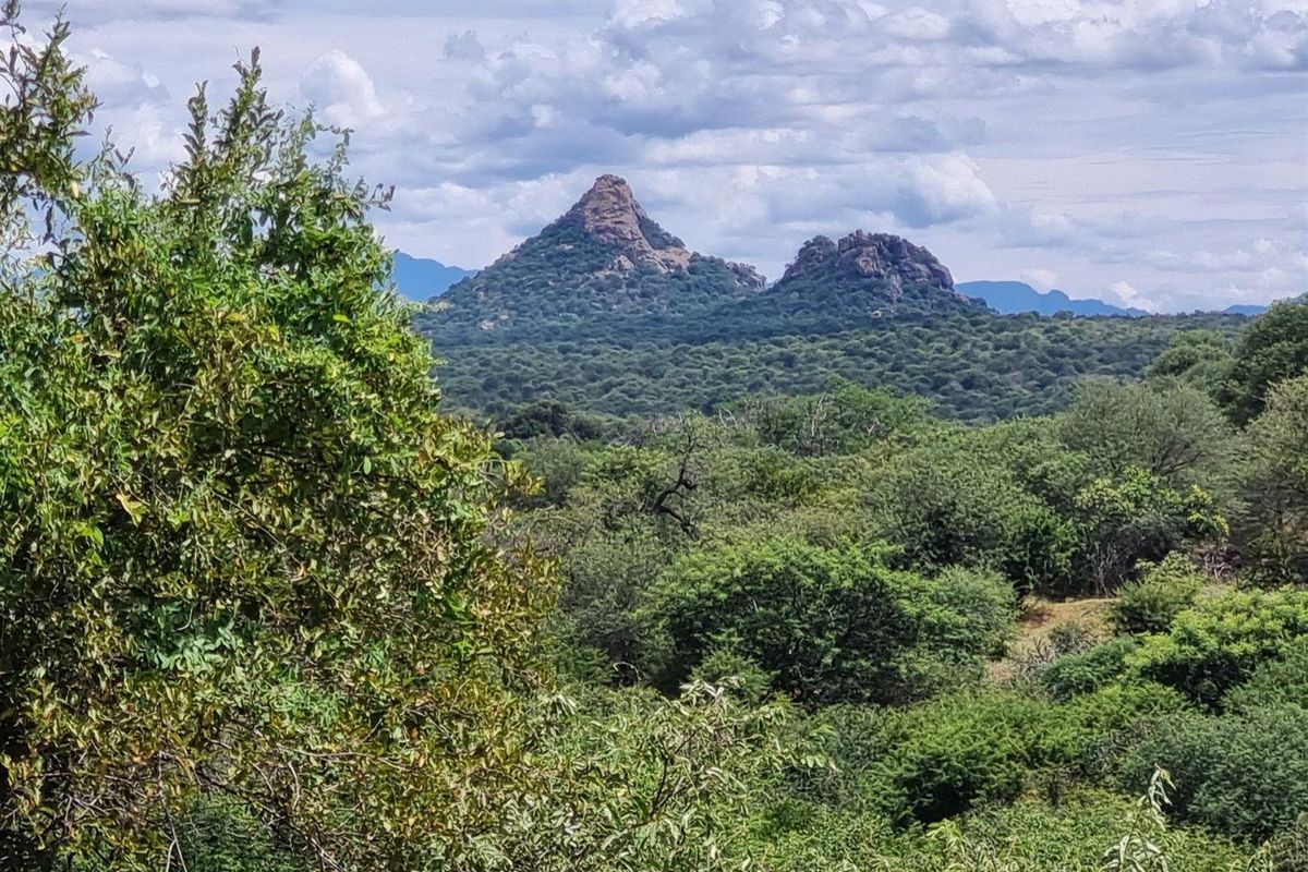 Excellent location - Photo 2