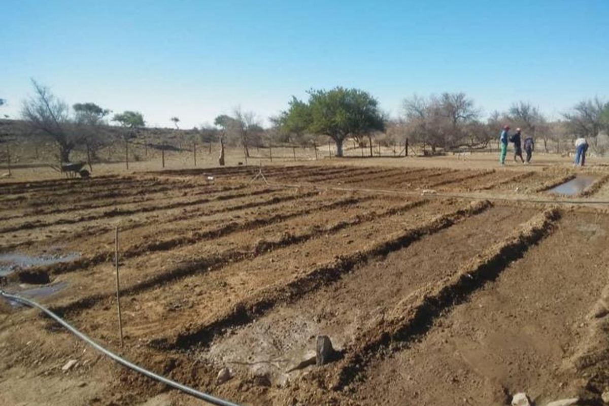 Farm for sale in Rehoboth - Photo 4