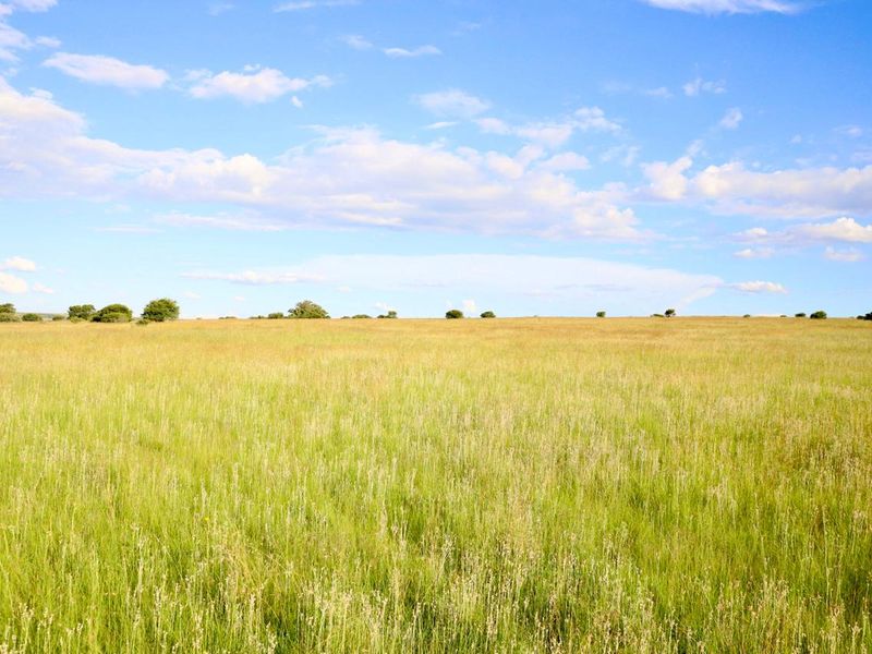 Exceptional Farming Opportunity — 312.0183 ha Grazing Farm with a 4 Bedroom Home, 4 Dams and 8  Boreholes Off the Grid with Solar - Photo 2