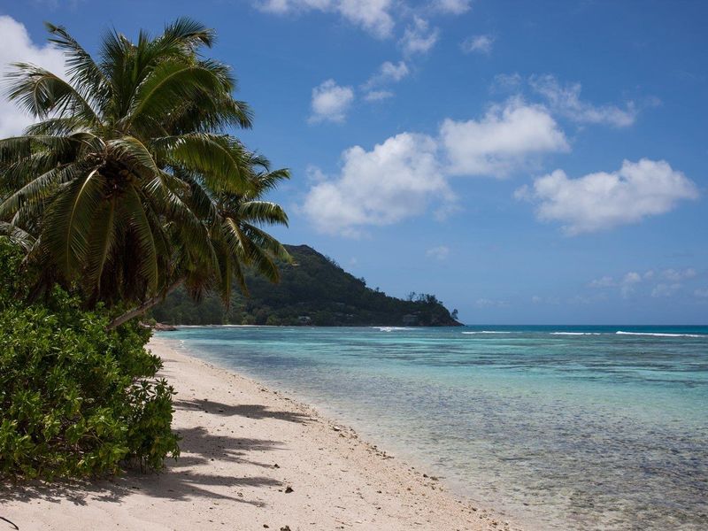 Prime residential/tourism development beachfront land - Photo 6