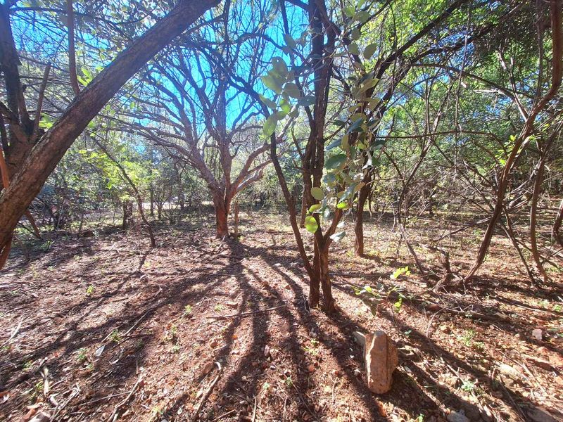 Secure Your Slice of Leeupoort's Natural Beauty Today - Photo 6