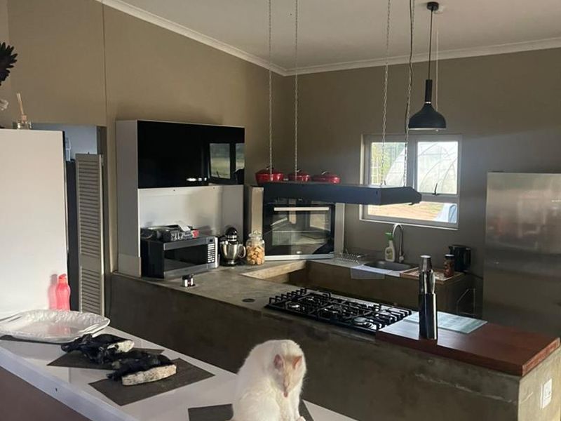 A rustic-style kitchen featuring a concrete island with a gas hob, built-in oven, and exposed timber ceiling beams, offering a unique industrial aesthetic.