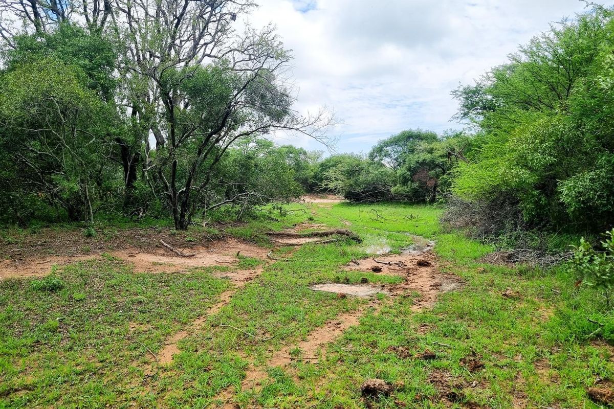 Riverfront stand - Photo 3