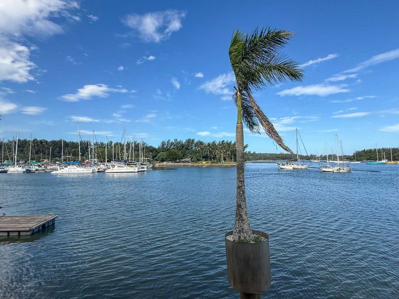 Living your best life - Photo 9