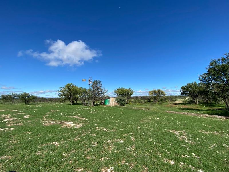 Large-Scale  Game Farm for Sale – Power, Production & Potential - Photo 10