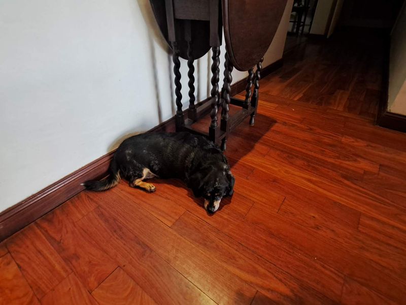 1 Bedroom House Share - Photo 7