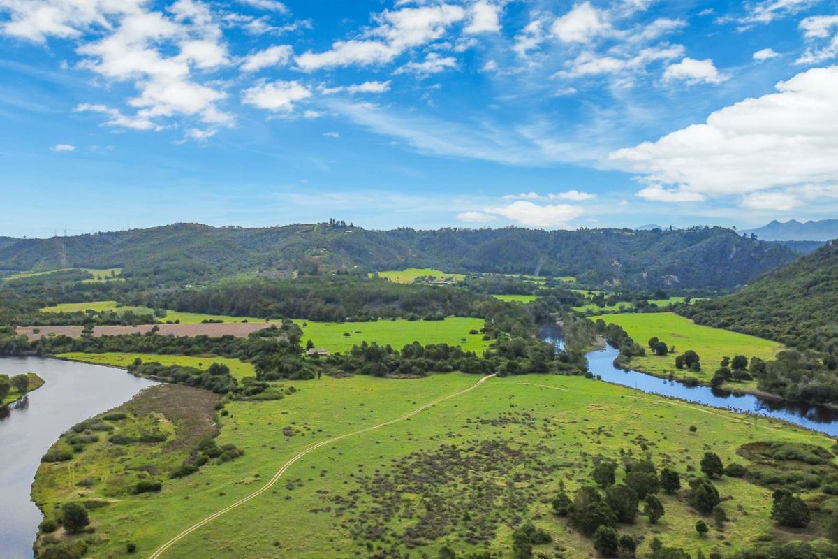 177-Hectare Riverfront Property Near Knysna - Photo 5