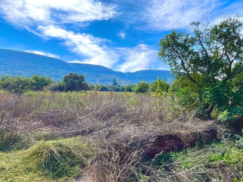 ***7ha Bushveld Property with Equestrian Facilities, Storerooms & Borehole – Kameeldrift West*** - Photo 3