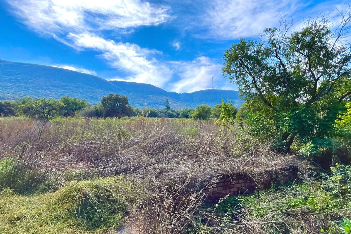 ***7ha Bushveld Property with Equestrian Facilities, Storerooms & Borehole – Kameeldrift West*** - Photo 3