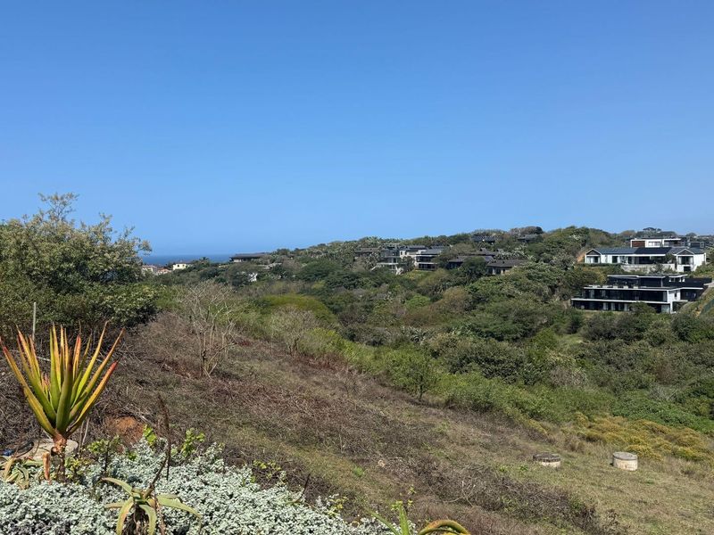 A scenic elevated view overlooking a natural landscape with coastal vegetation and surrounding residential developments in the distance.
