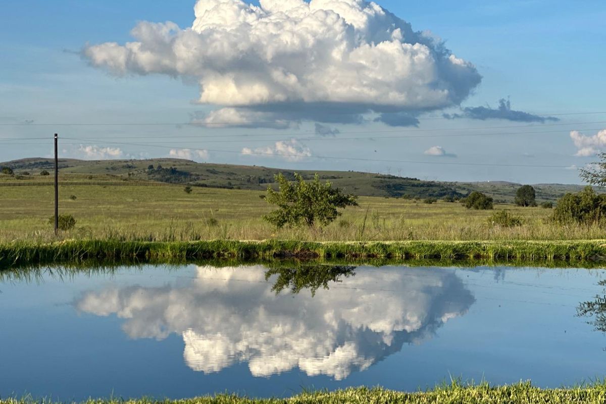 A scenic view of the agricultural land featuring a small dam reflecting the sky and surrounding open fields.