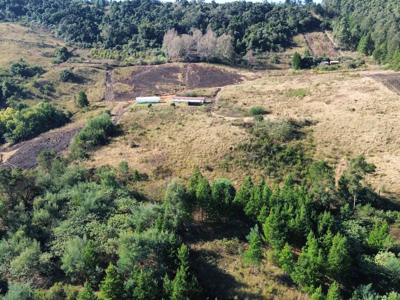 Midlands Lifestyle Farm with Forest, Views & Spring Water, Balgowan, Howick - Photo 2