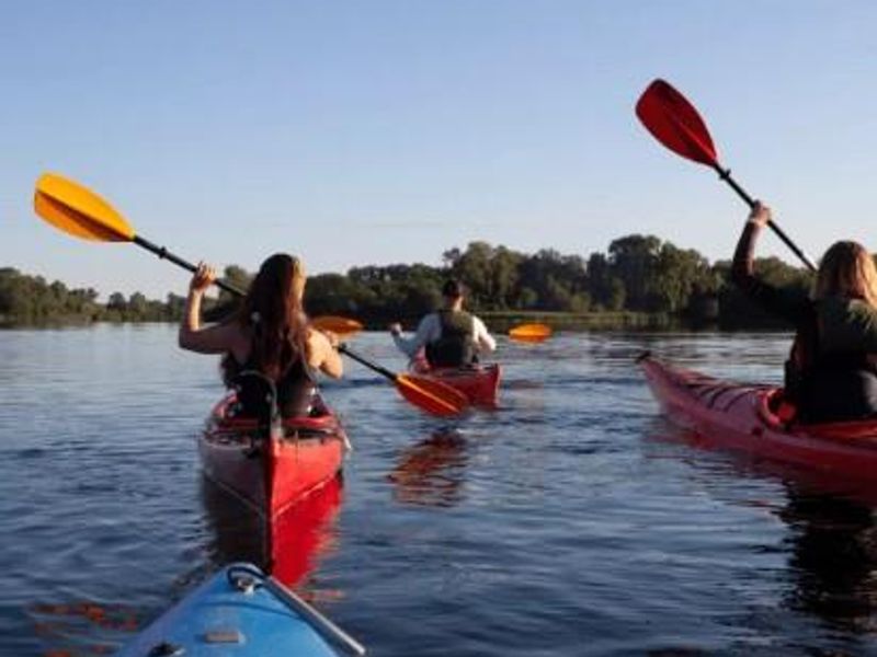 Own Paradise on the Banks of the Zambezi - Photo 4