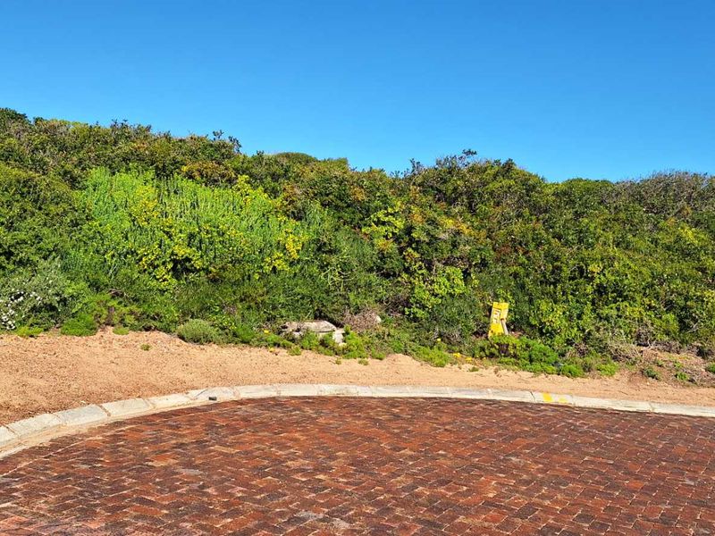 Build Your Dream Coastal Home: Vacant Lermans Village!" Land in Moquini for sale - Photo 4