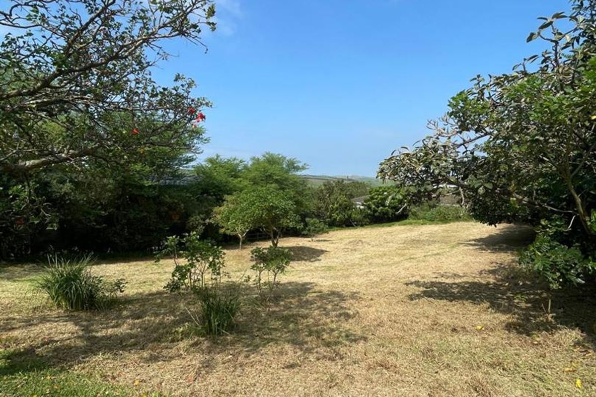 A view of a spacious, well-maintained residential garden featuring mature trees and established lawn areas, offering a peaceful outdoor setting.