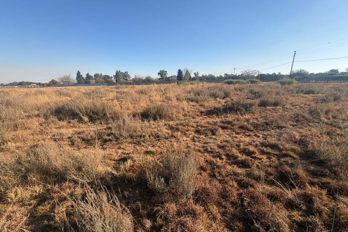 A wide-angle view of a vacant residential plot featuring natural dry vegetation and open space.
