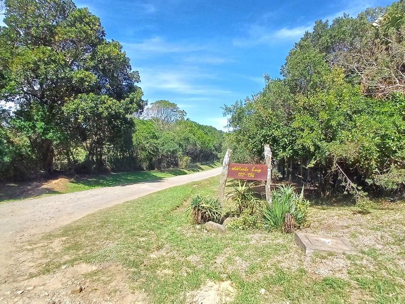 1195sqm vacant stand with established biogas digester and 2 rain water tanks - Photo 3