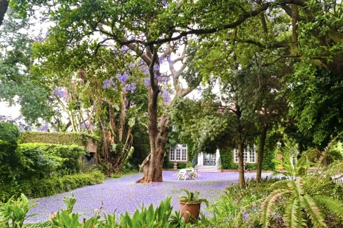 FAMILY HOME IN SOUGHT AFTER BOOMED OFF AREA - Photo 2