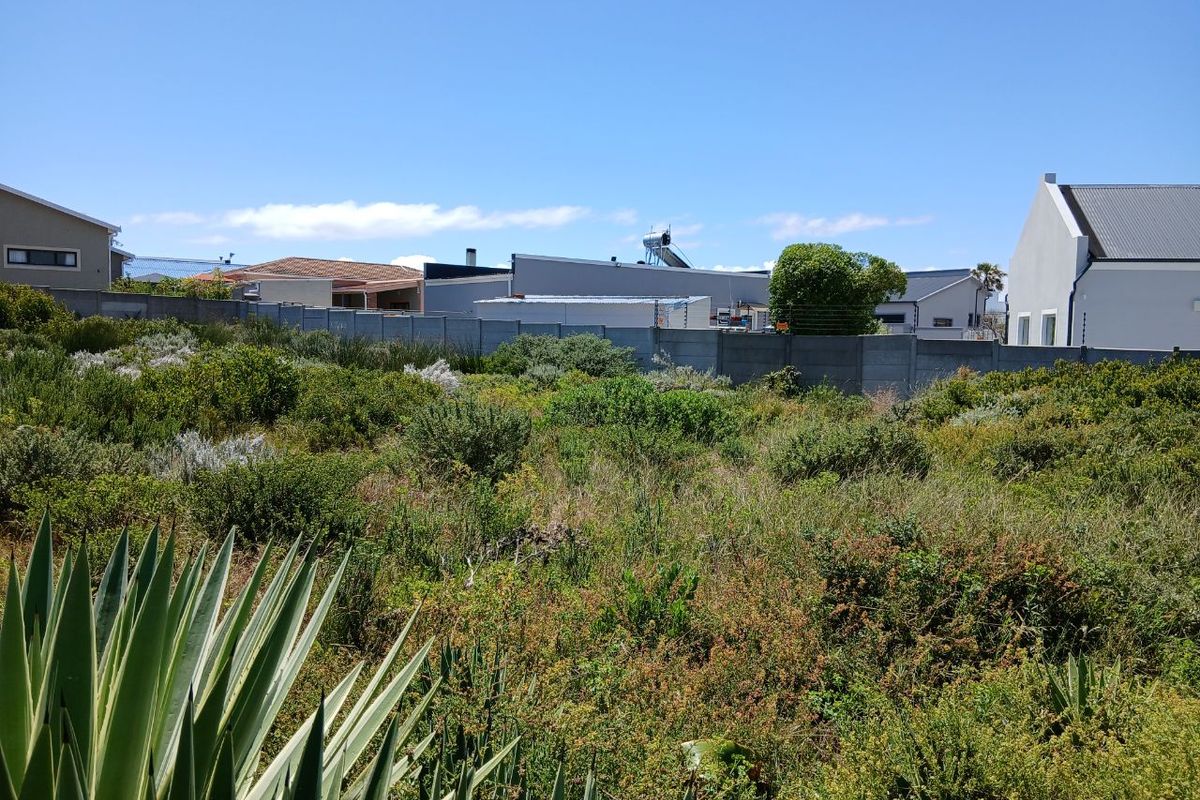 A vacant residential plot featuring established indigenous vegetation and a precast concrete boundary wall, situated in a developed suburban neighborhood.