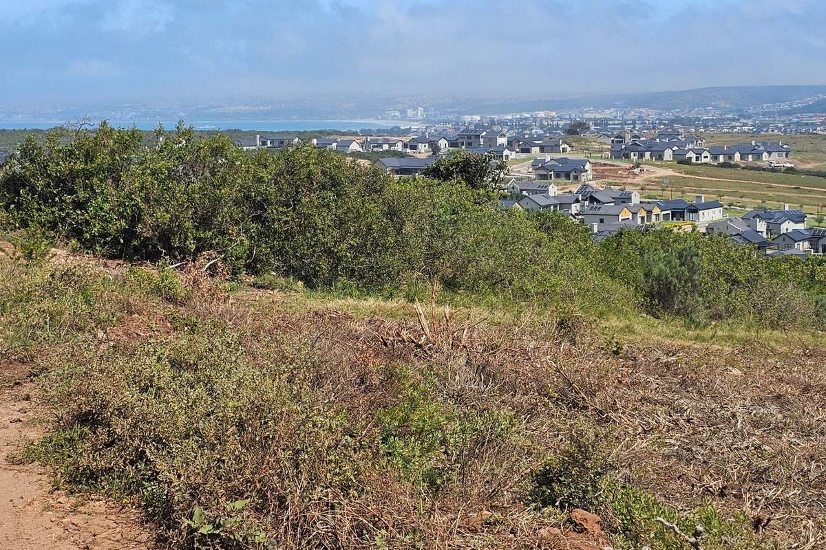 Plot & Plan options now selling in Hartland Lifestyle Estate - Photo 4