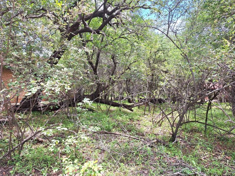 Embrace Tranquility - Prime Stand - Photo 2