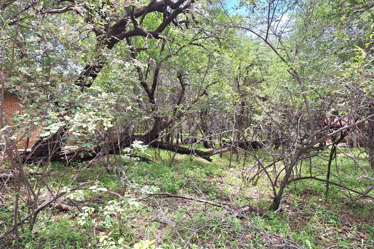 Embrace Tranquility - Prime Stand - Photo 2