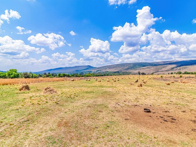Exceptional 44-Hectare Agricultural , Multiple living, Farm for Sale – Hekpoort - Photo 10