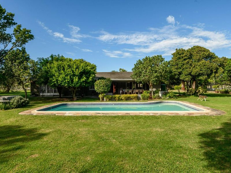 A spacious backyard featuring a well-maintained swimming pool with stone coping, surrounded by a lush green lawn and mature trees.