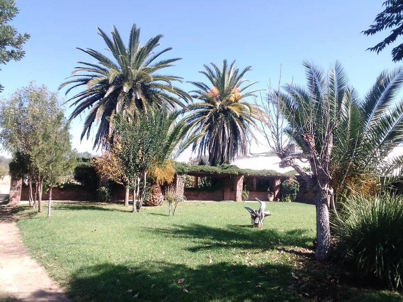 Small Holding for sale - Photo 4