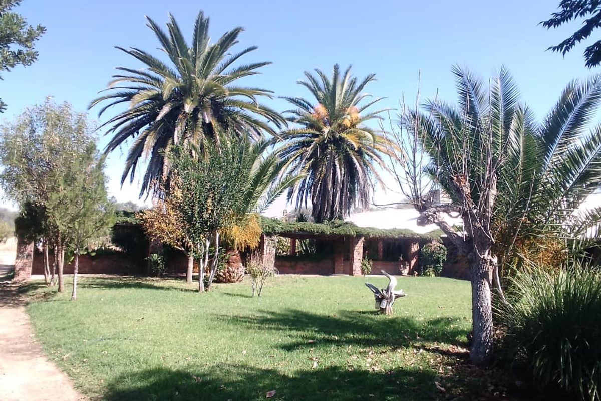 Small Holding for sale - Photo 4