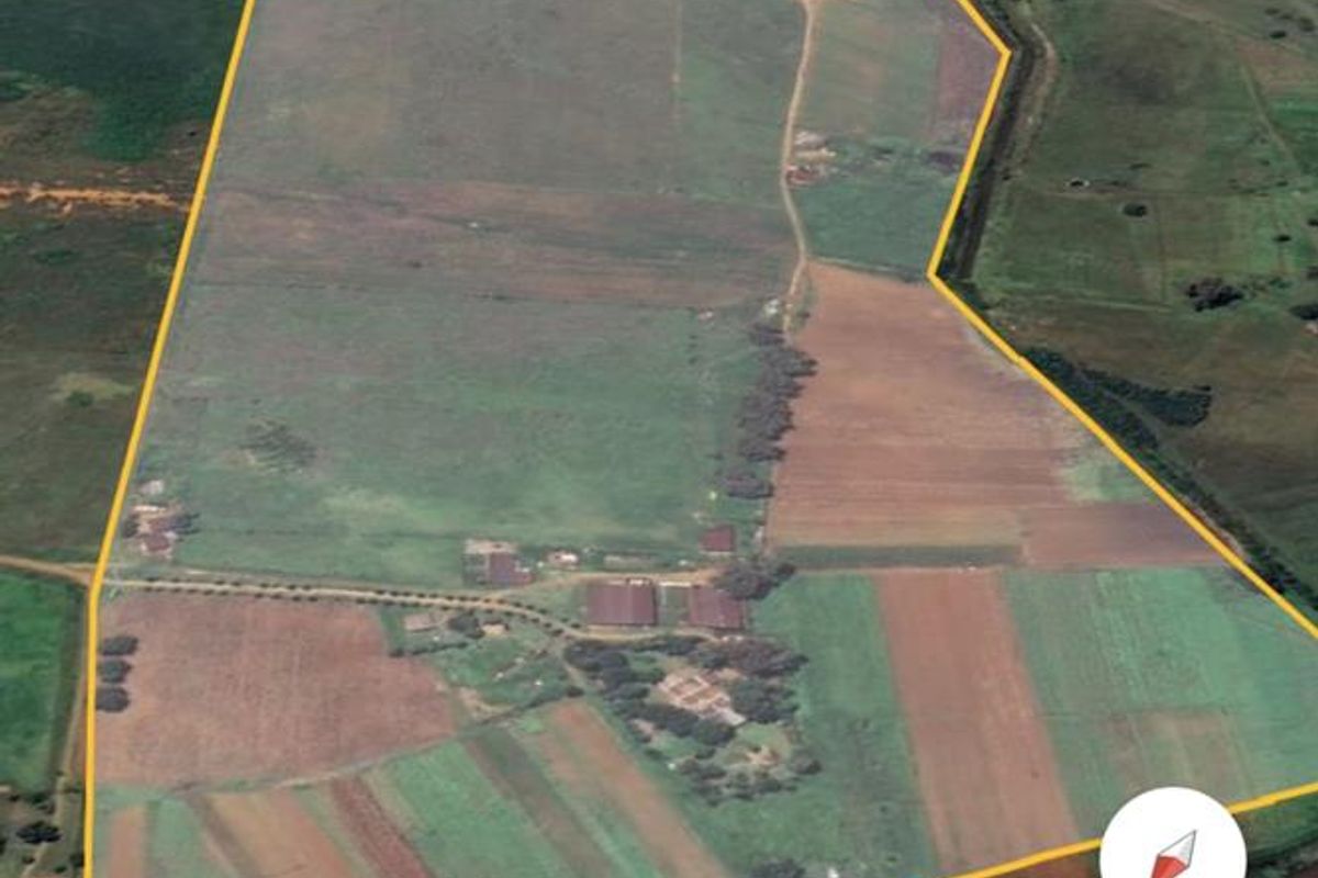Irrigation farming in Meyerton - Photo 2