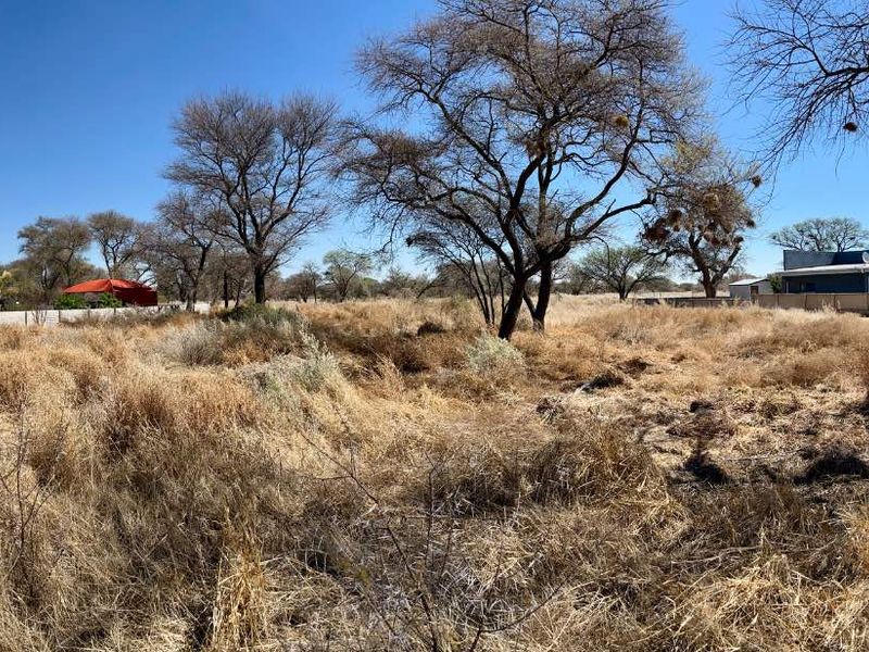 A panoramic view of a vacant residential plot featuring dry grass, mature trees, and surrounding boundary fencing in a quiet neighborhood setting.