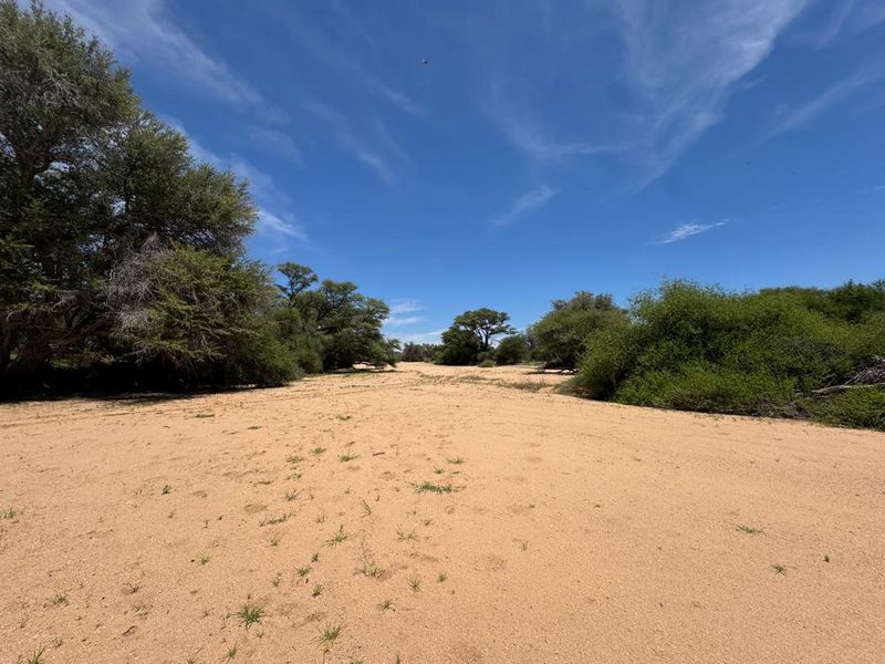 A wide-angle view of the natural farm landscape featuring sandy terrain and native trees under a clear blue sky.