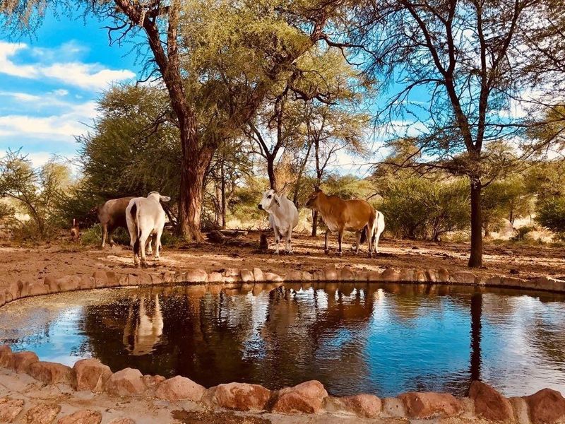 Exceptional Game Farm & Tourism Investment Opportunity – Karibib, Namibia - Photo 9