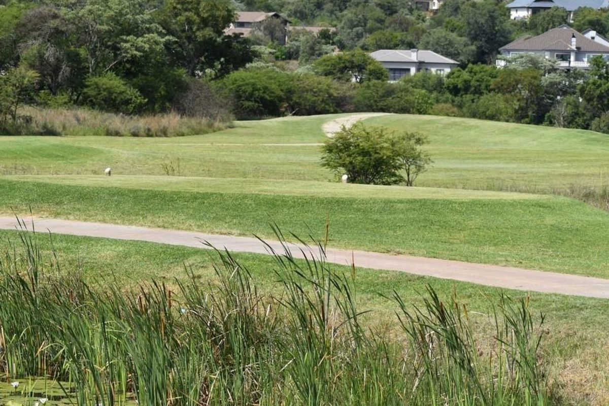 STANDS AVAILABLE AT KORO CREEK BUSHVELD ESTATE - Photo 5