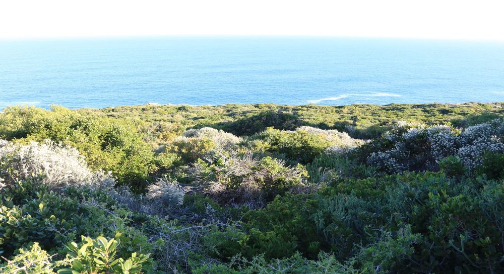 339 Oyster Bay Drive - Vacant Land