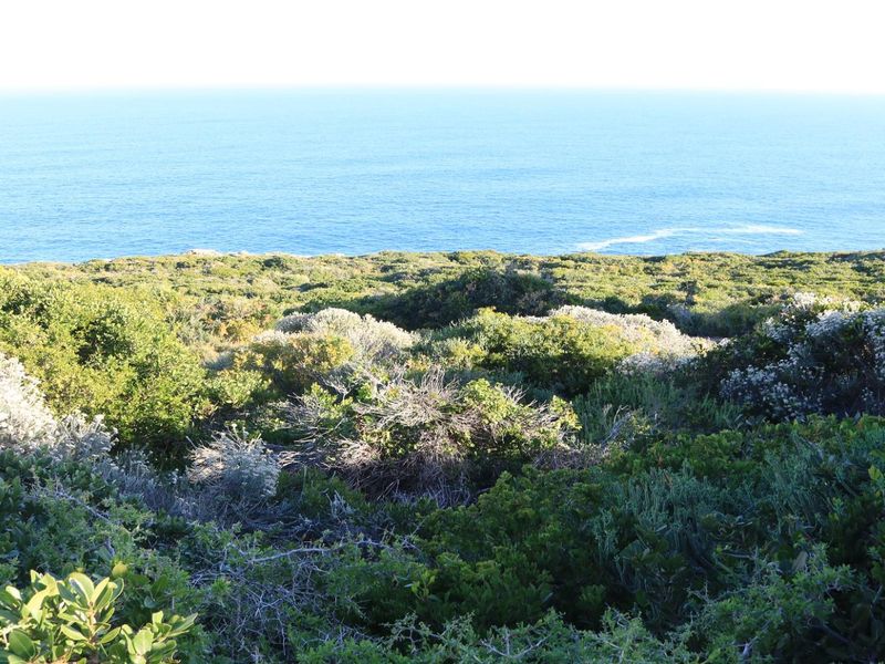 Vacant Land for sale in Pinnacle Point Golf Estate - Photo 5