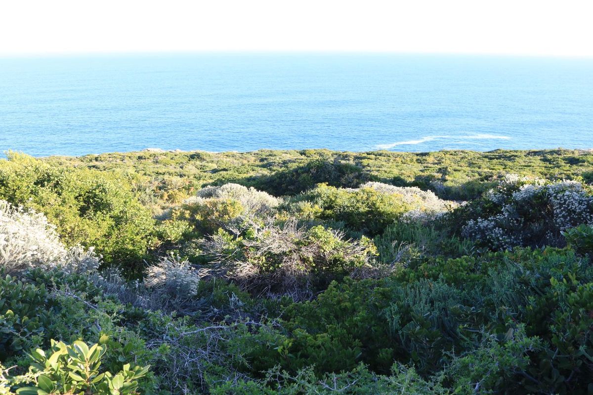 Vacant Land for sale in Pinnacle Point Golf Estate - Photo 5