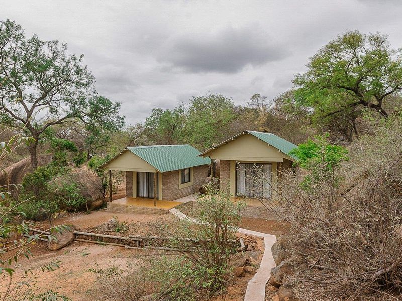 Big 5 game farm with extensive traversing - Photo 4