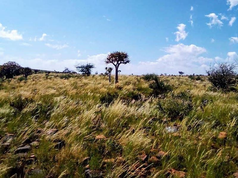 Exceptional farming opportunity just 75 km Southeast of Keetmanshoop! - Photo 2